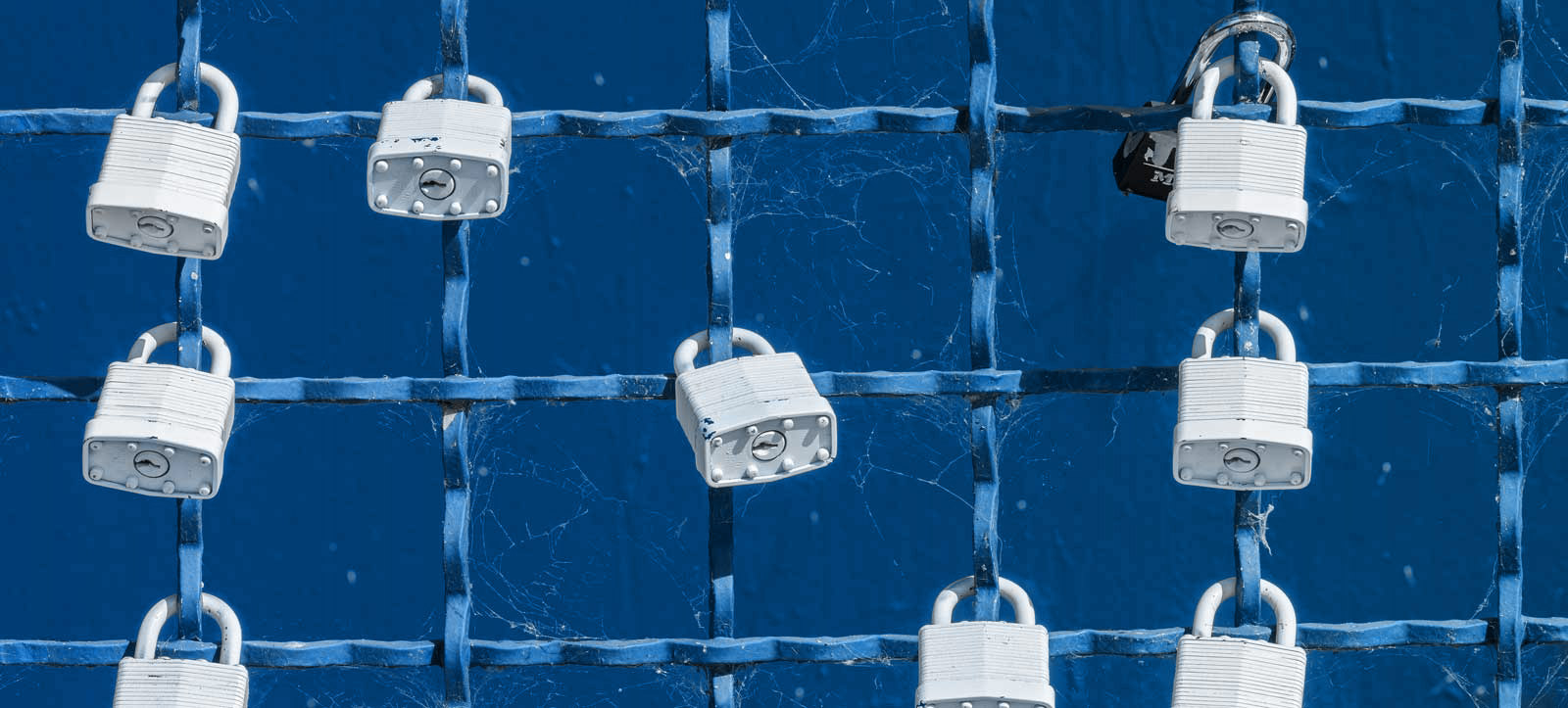 security locks on a fence