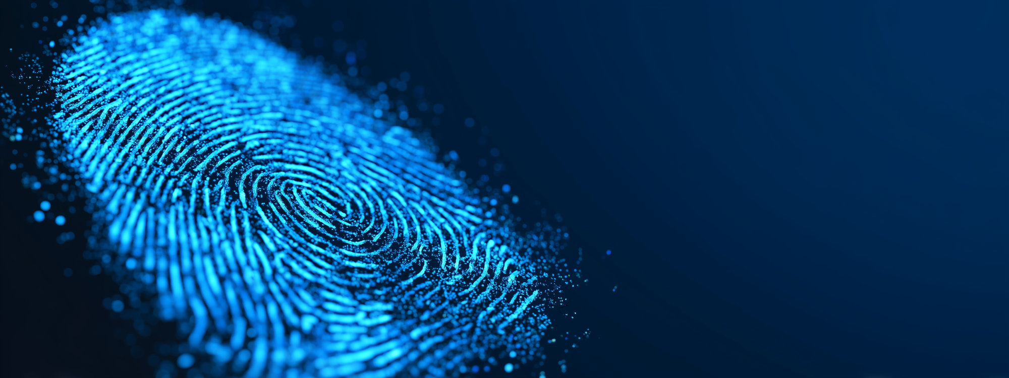 Digital Fingerprint